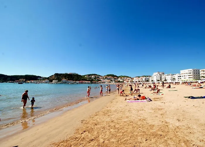 Ocean - Duplex 65m From The With Pool And Parking * São Martinho do Porto